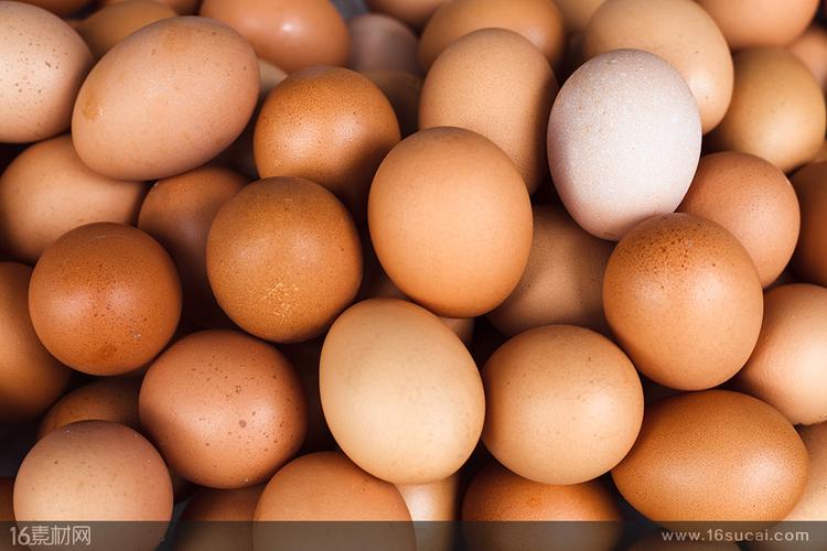  高清图片 食品果蔬图片关键词:密集的鸡蛋大量鸡蛋成堆的鸡蛋